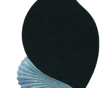 61
